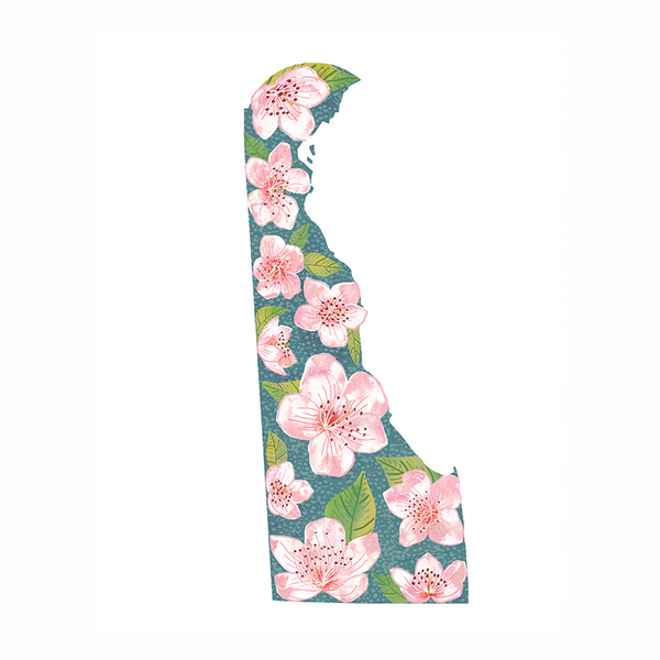 Delaware