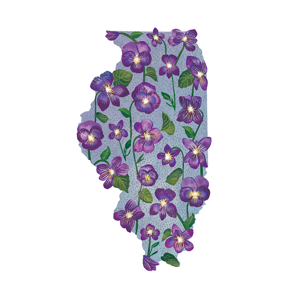 Illinois
