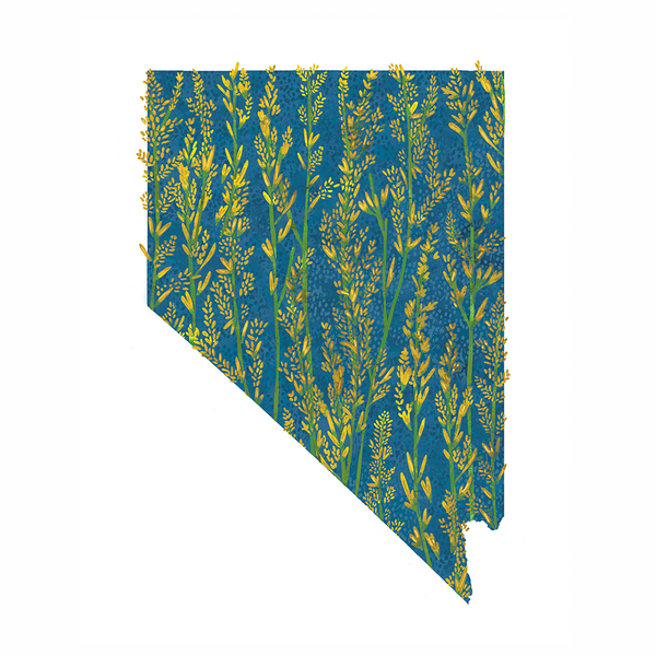 Nevada