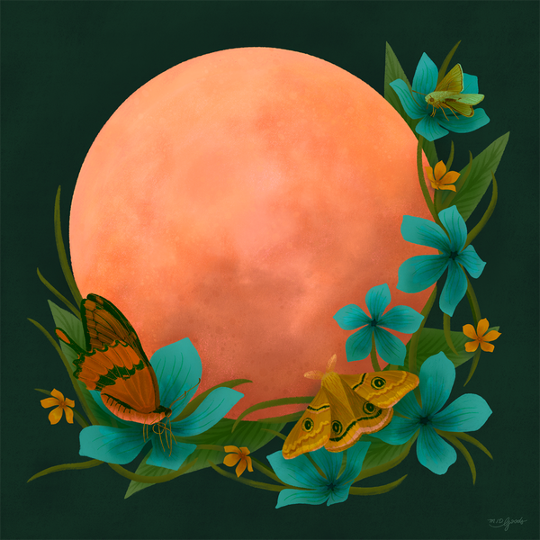 Pink Moon