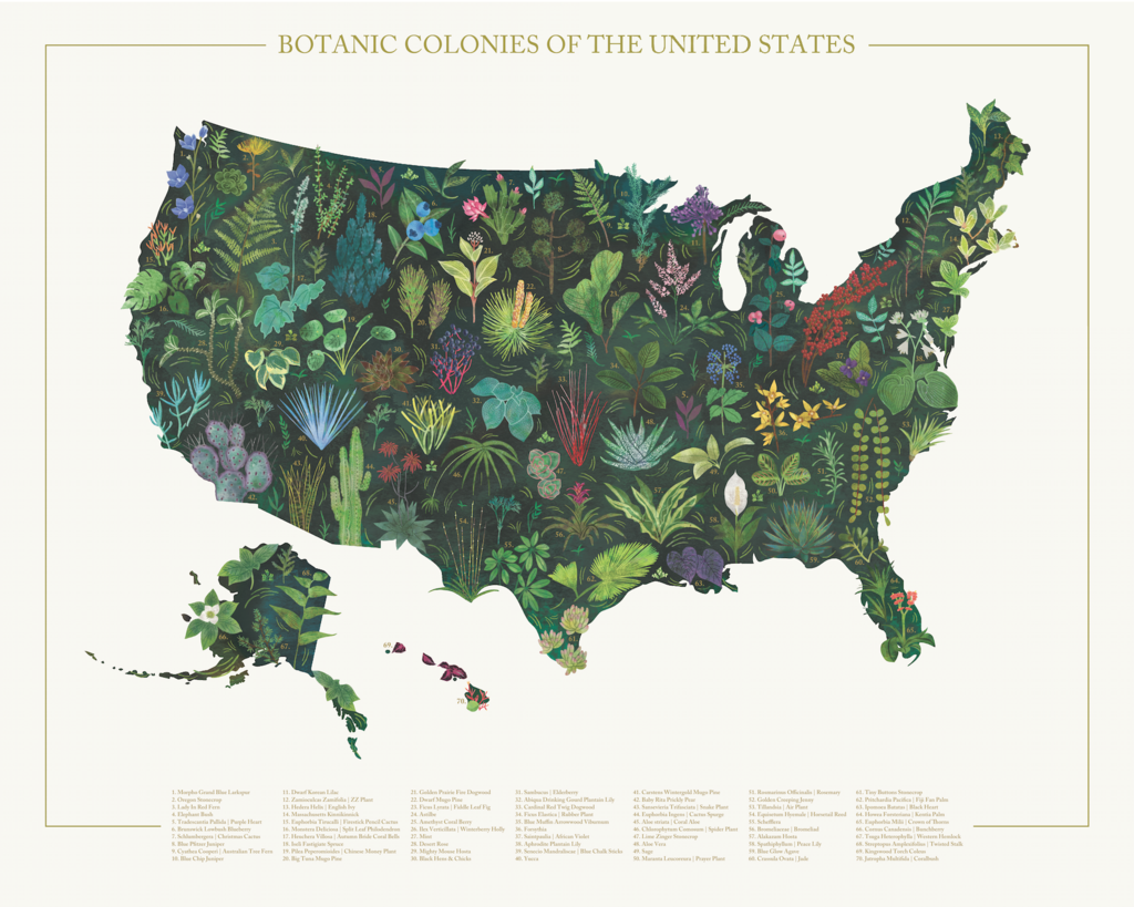 United States - Botanic Colonies